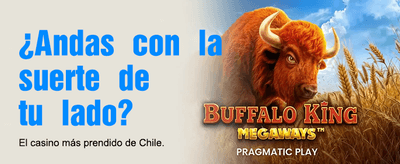 Los Mejores Juegos de Casino 💰